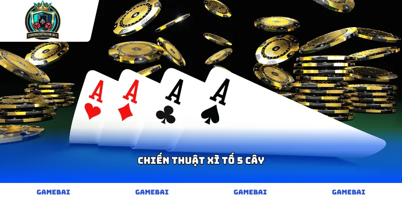 Áp dụng chiến thuật chơi bài xì tố 5 cây hiệu quả